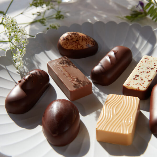 Summerbird Petit Four 8 – Bild 2